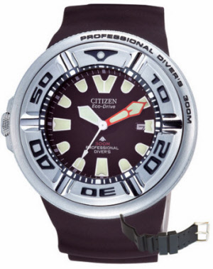 Citizen Promaster Diving Watch Diver 300 m